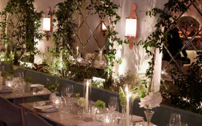 RevitaLash® Cosmetics x Shavata Singh Partnership Launch